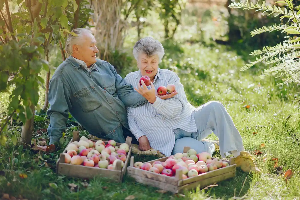 senior citizen gardening fruits netherlands