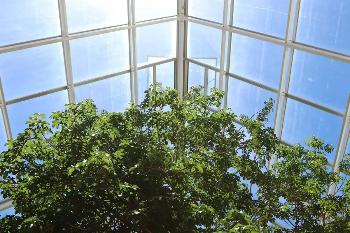 Dutch backyard greenhouse sunlight orientation
