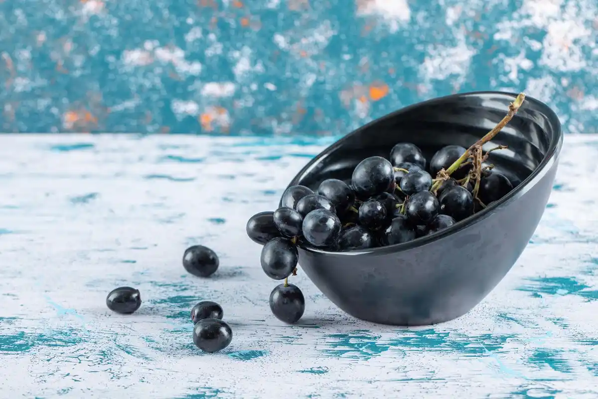 Dutch blackcurrant close up healthy superfruit