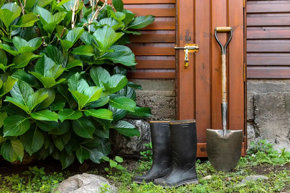 feng shui tools shed organization minimalism dutch garden
