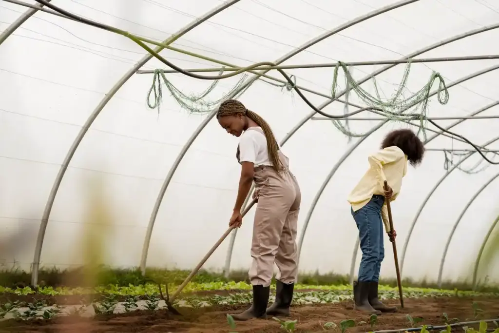 plastic bottle greenhouse DIY Dutch garden
