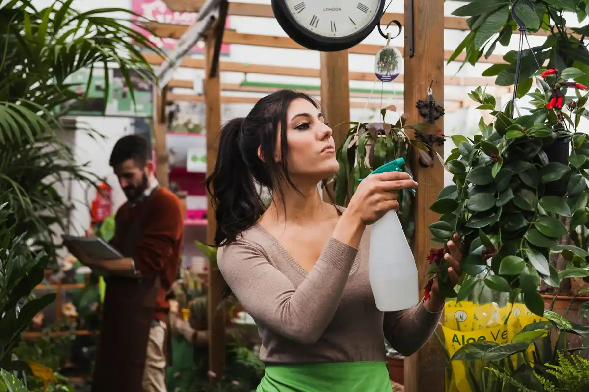 creative plastic bottle greenhouse home garden netherlands
