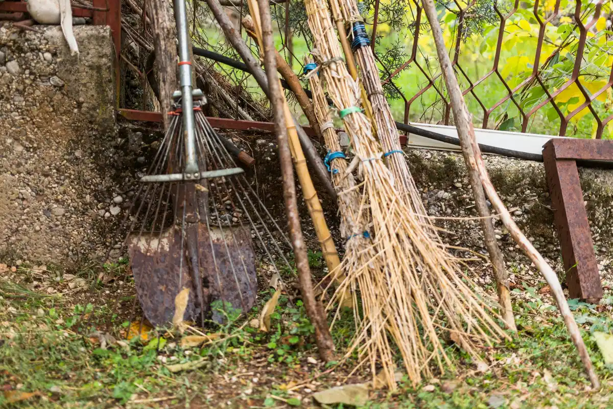 rusty garden tools in Dutch backyard