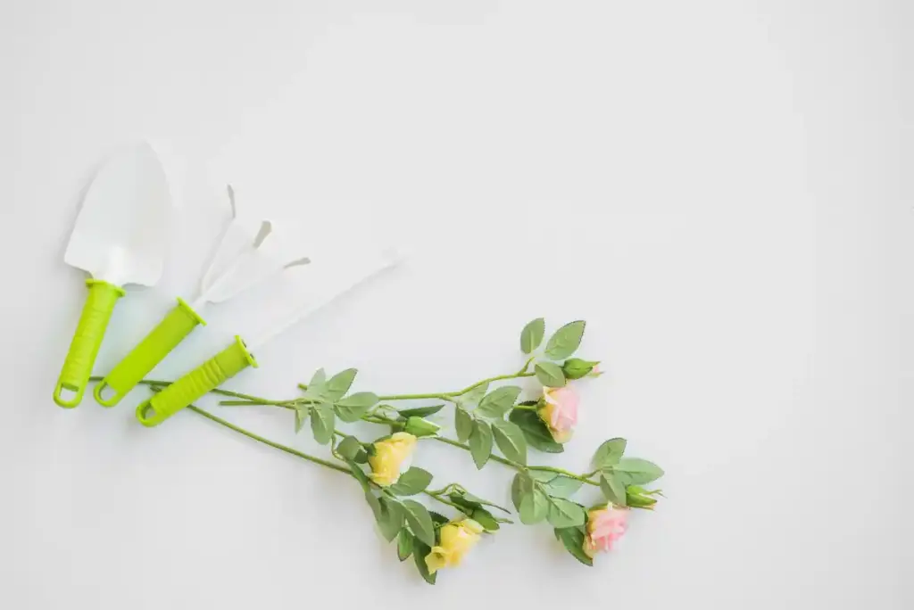 close up simple japanese garden shears cutting roses