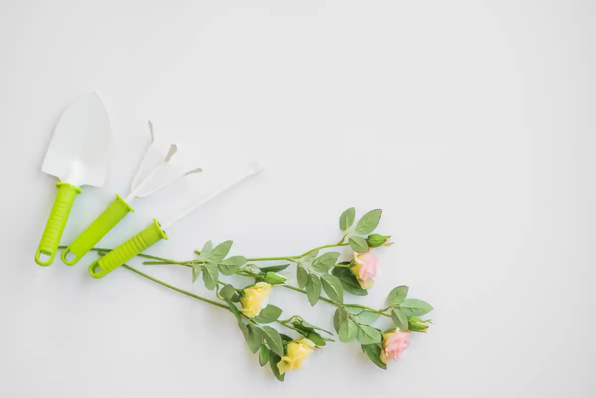 close up simple japanese garden shears cutting roses