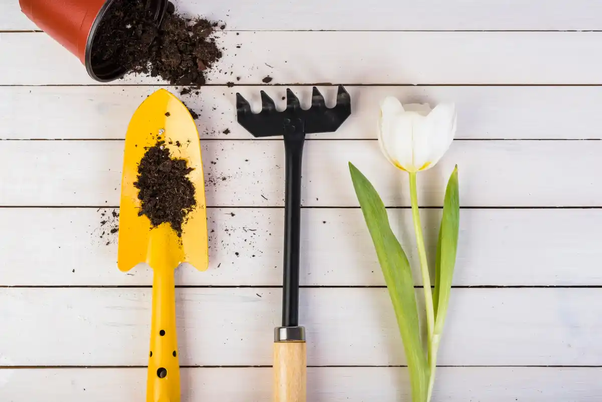innovative garden shovel Netherlands 2025