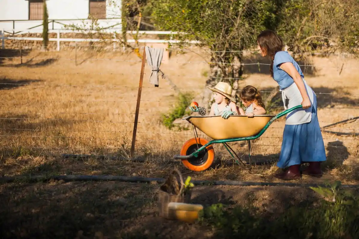 dutch community garden no fertilizer