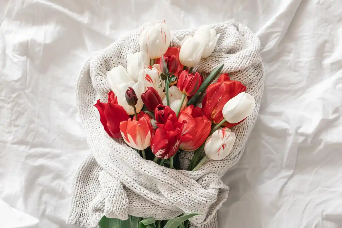 red bouquet interior Amsterdam
