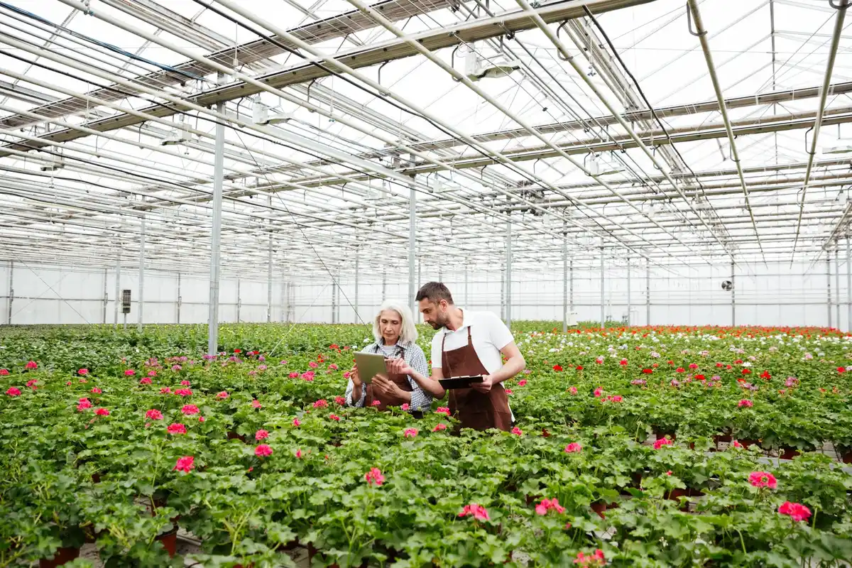 storm proof greenhouse Netherlands