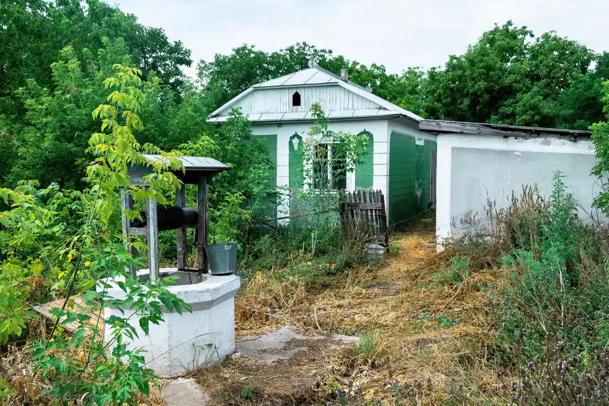 diy greenhouse made from old windows in dutch garden