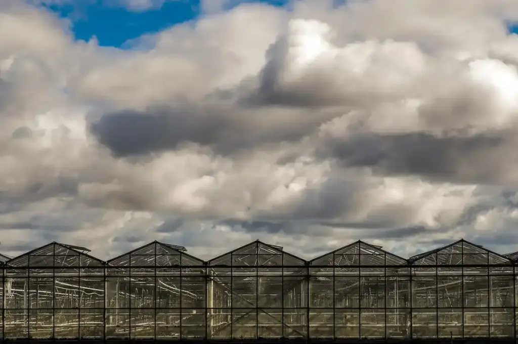 greenhouse storm prevention netherlands