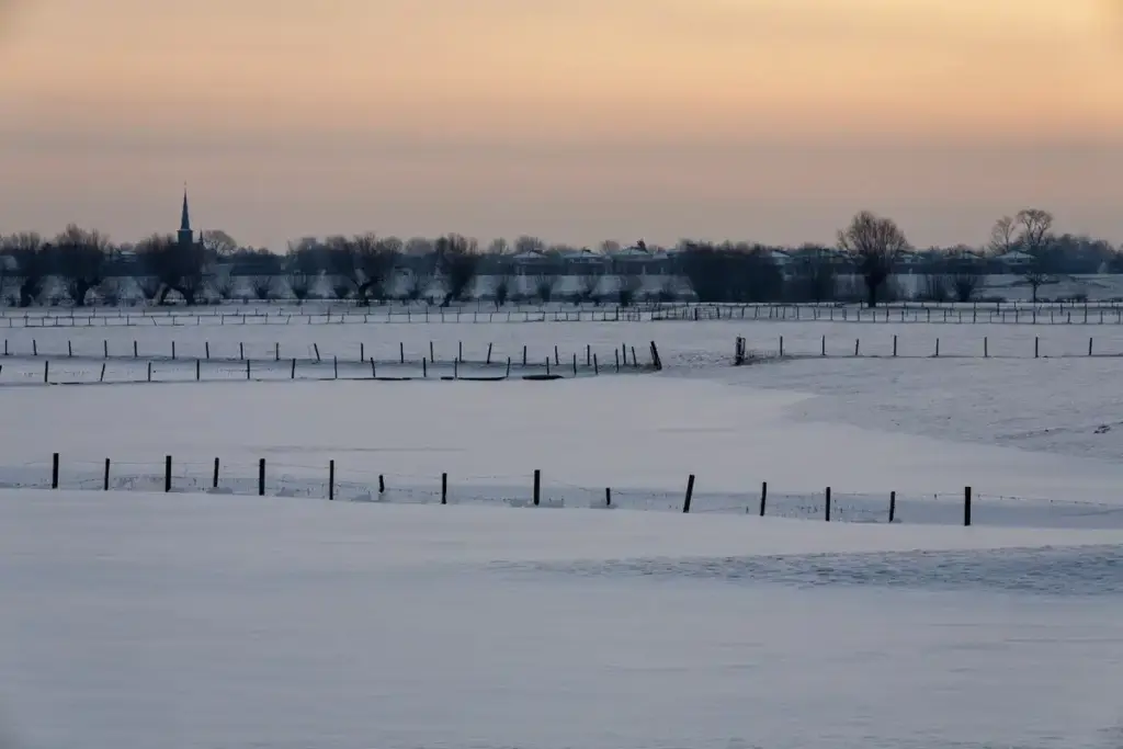 unheated greenhouse in january netherlands