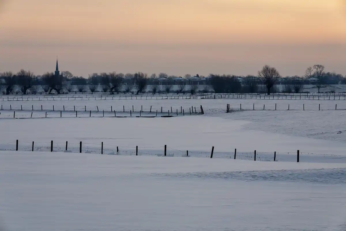 unheated greenhouse in january netherlands