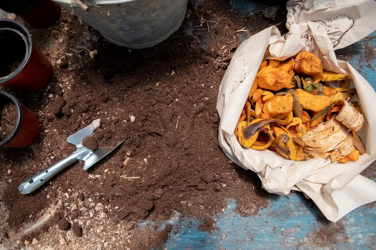 banana peels in garden soil Netherlands