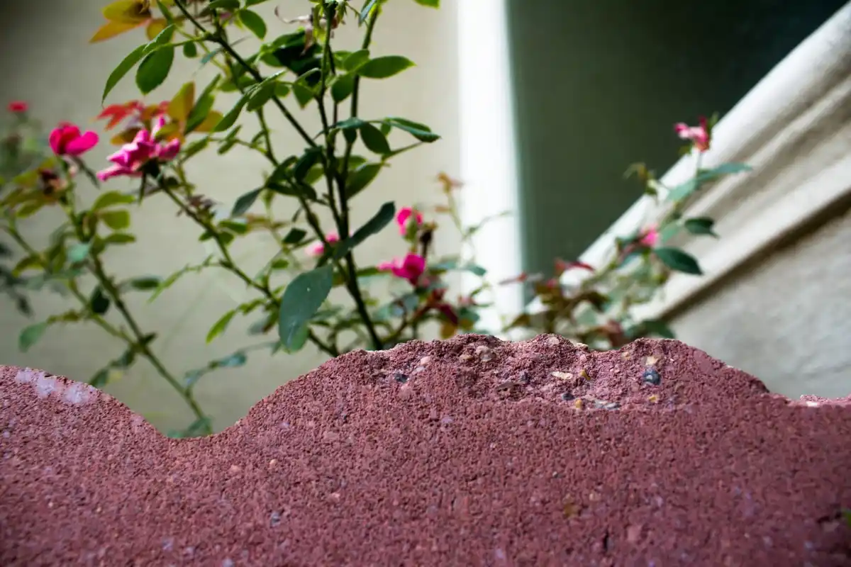 Dutch garden waste composting close up