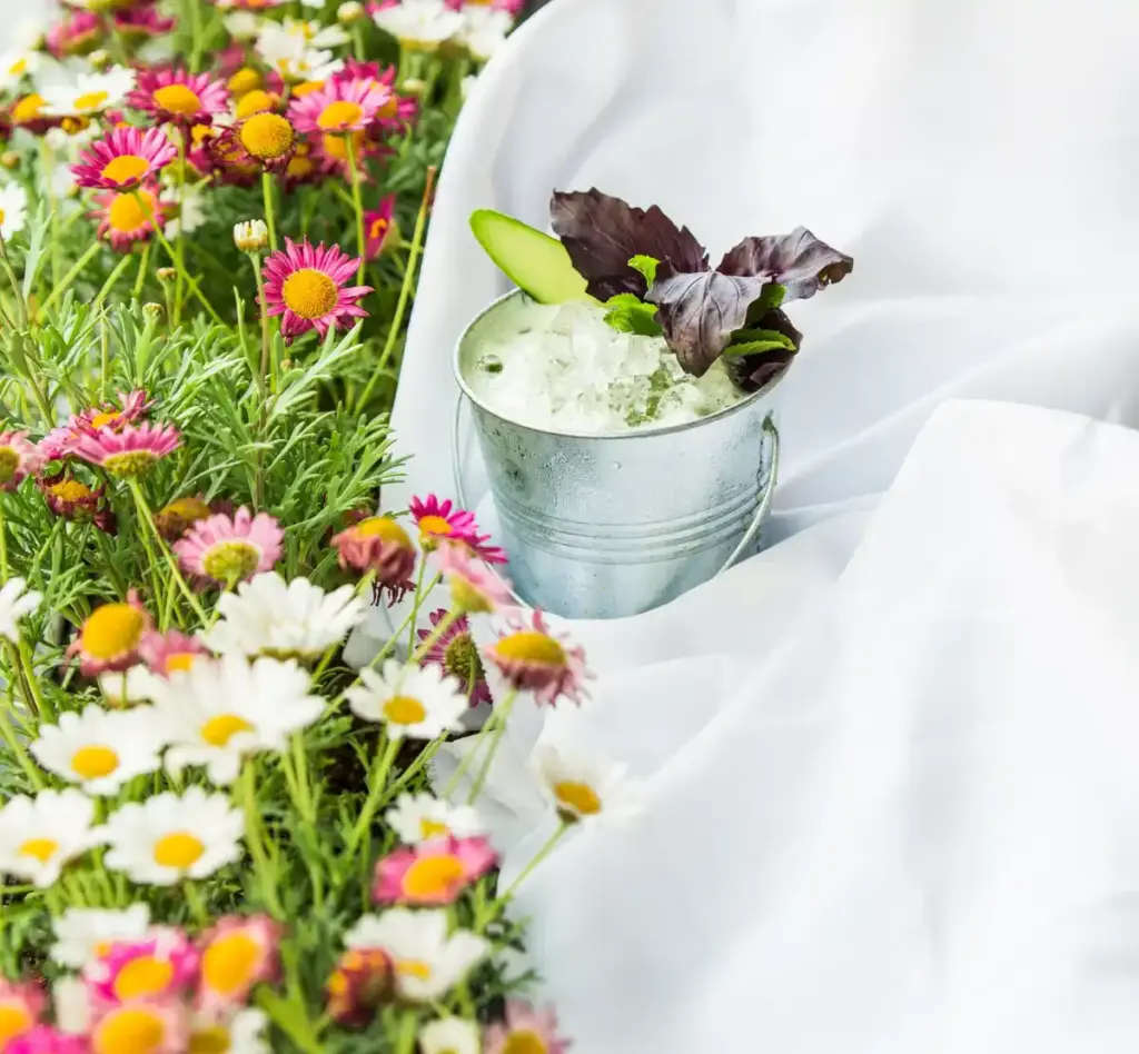coffee grounds in flower garden Netherlands