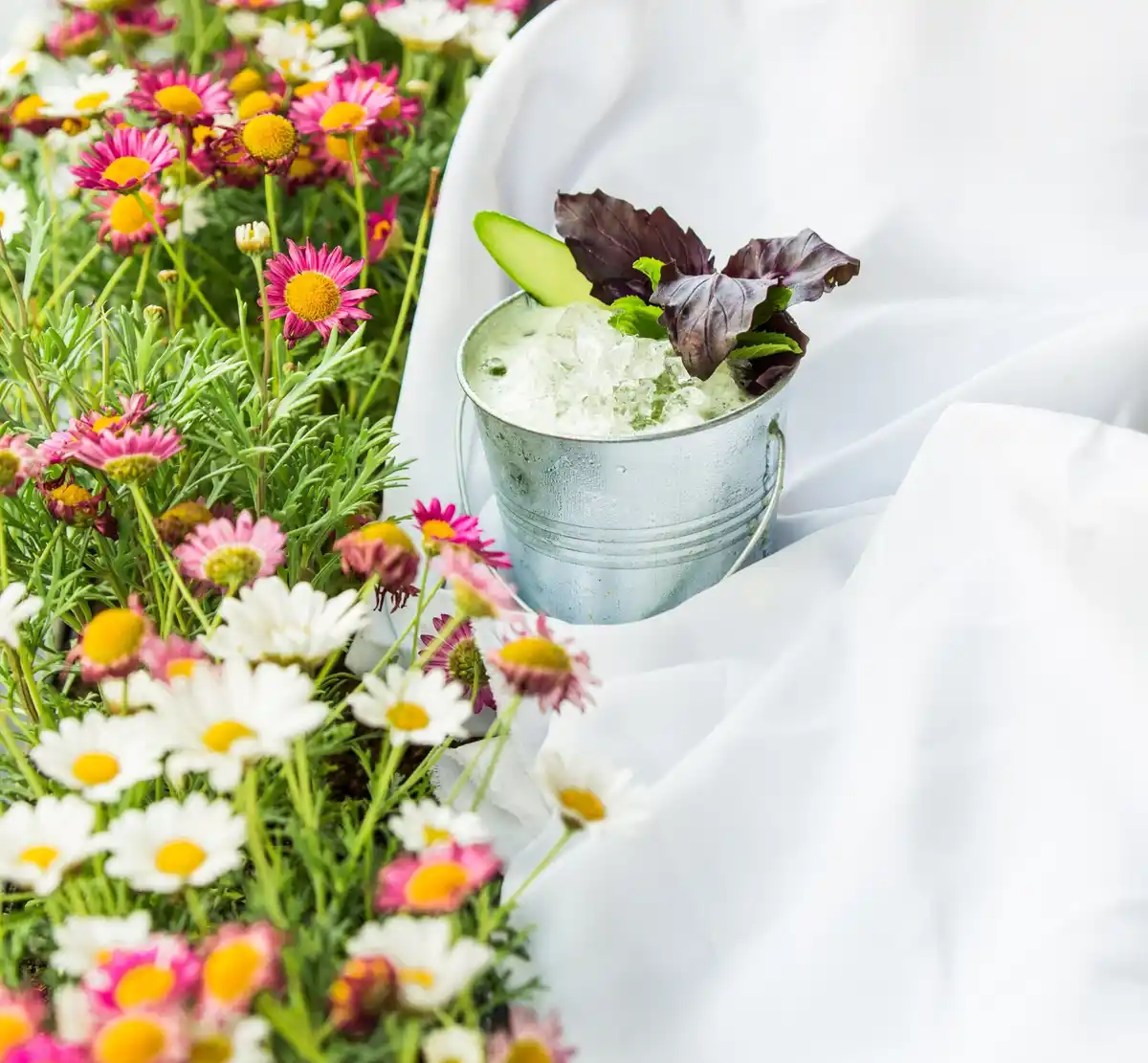 coffee grounds in flower garden Netherlands