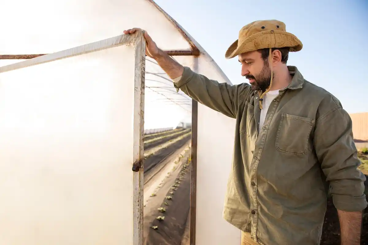 elderly Dutch man building DIY greenhouse without tools