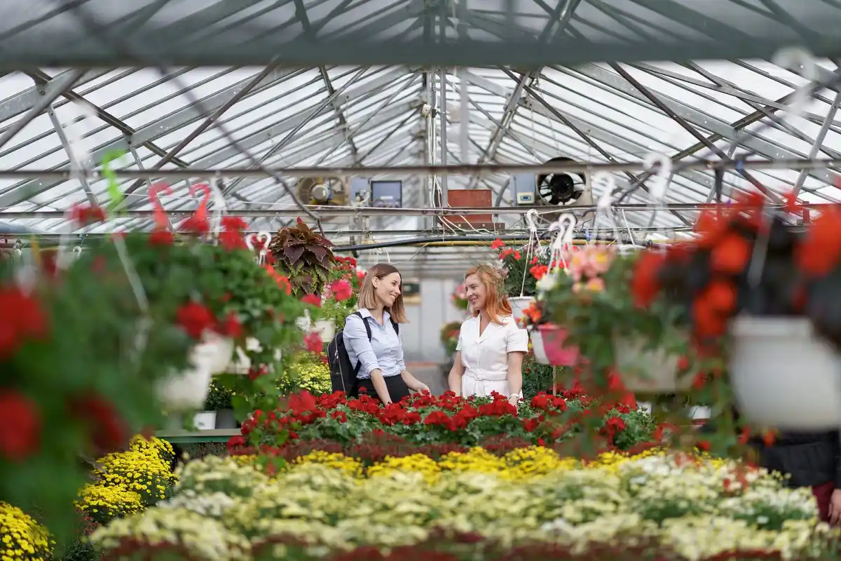 improvised greenhouse netherlands garden