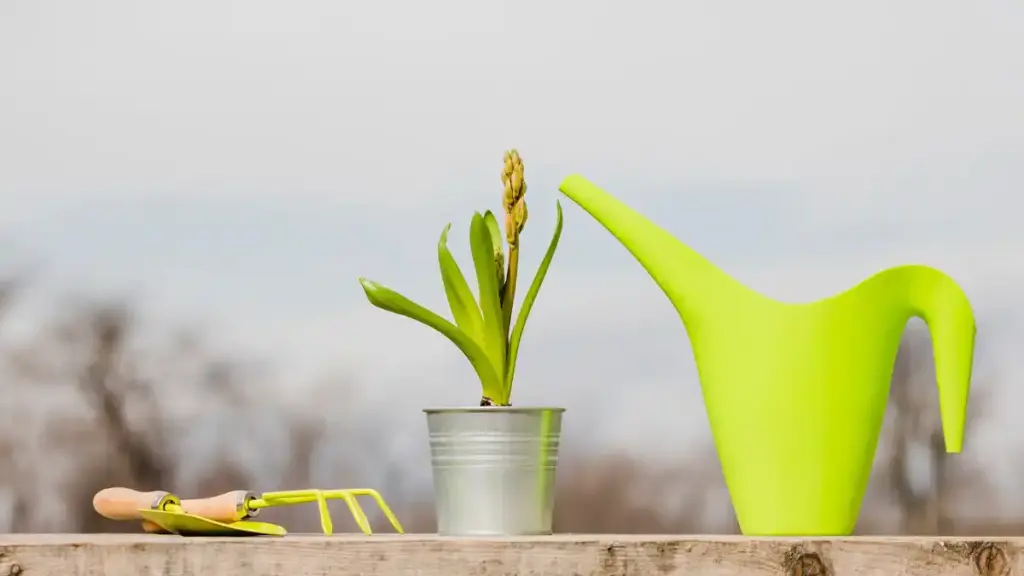 creative repurpose garden hose Netherlands