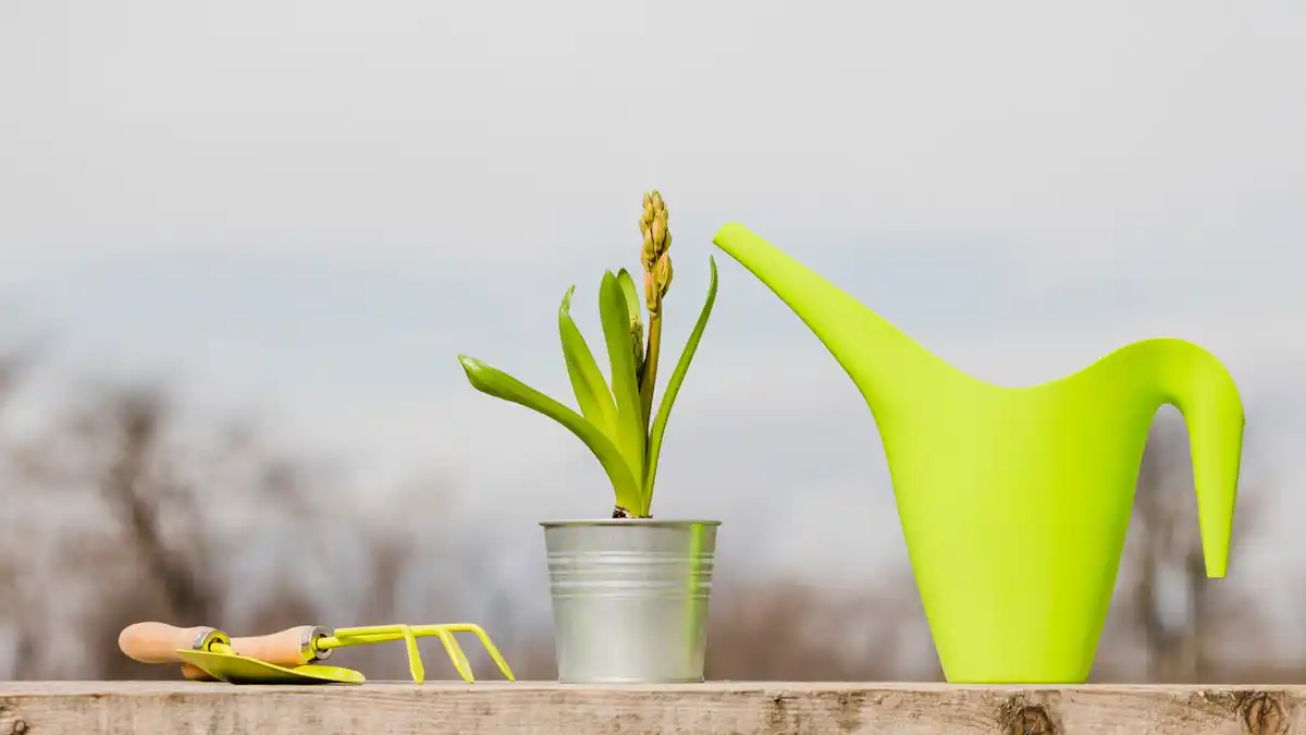 creative repurpose garden hose Netherlands