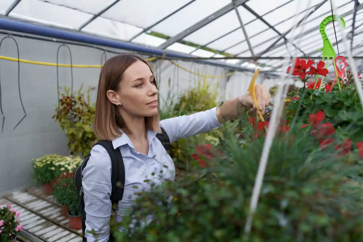 plastic bottle greenhouse diy netherlands