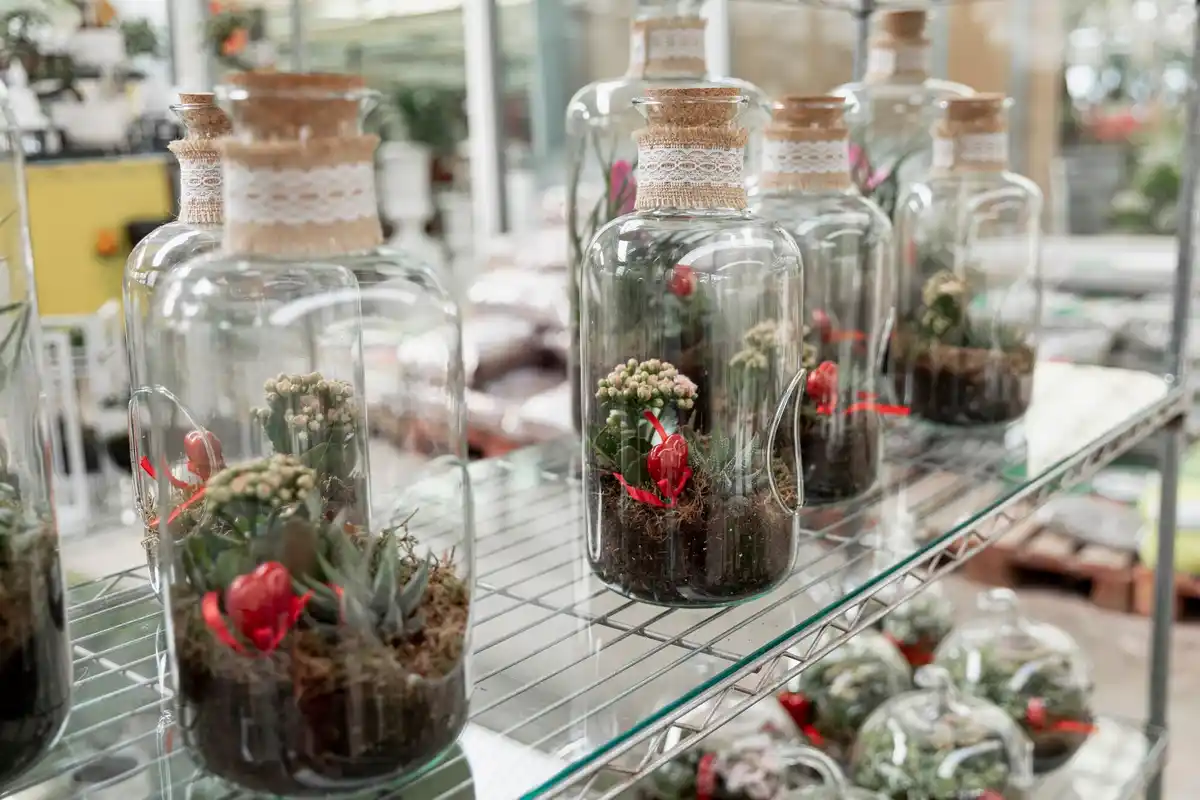 plastic bottles greenhouse backyard netherlands