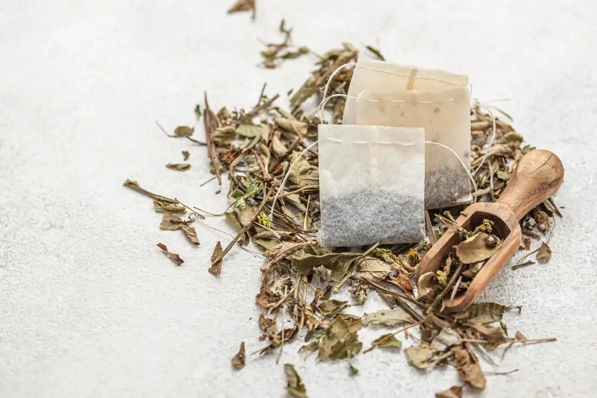 scattering used tea leaves in garden netherlands sustainable