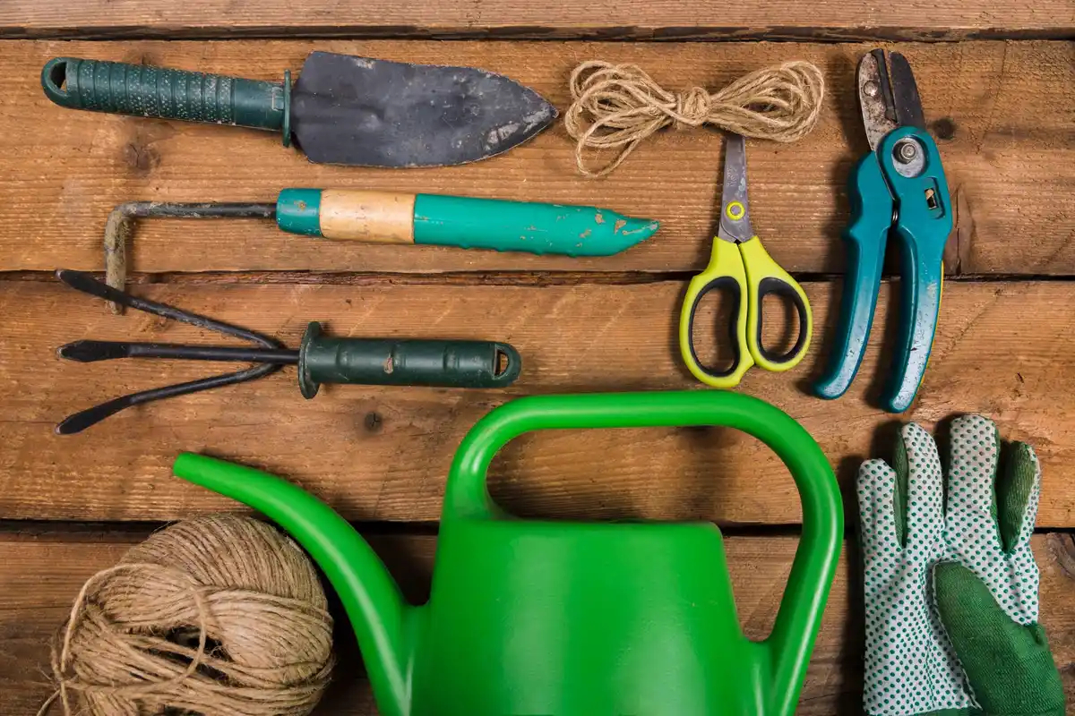 rusty garden tools on Dutch shed table
