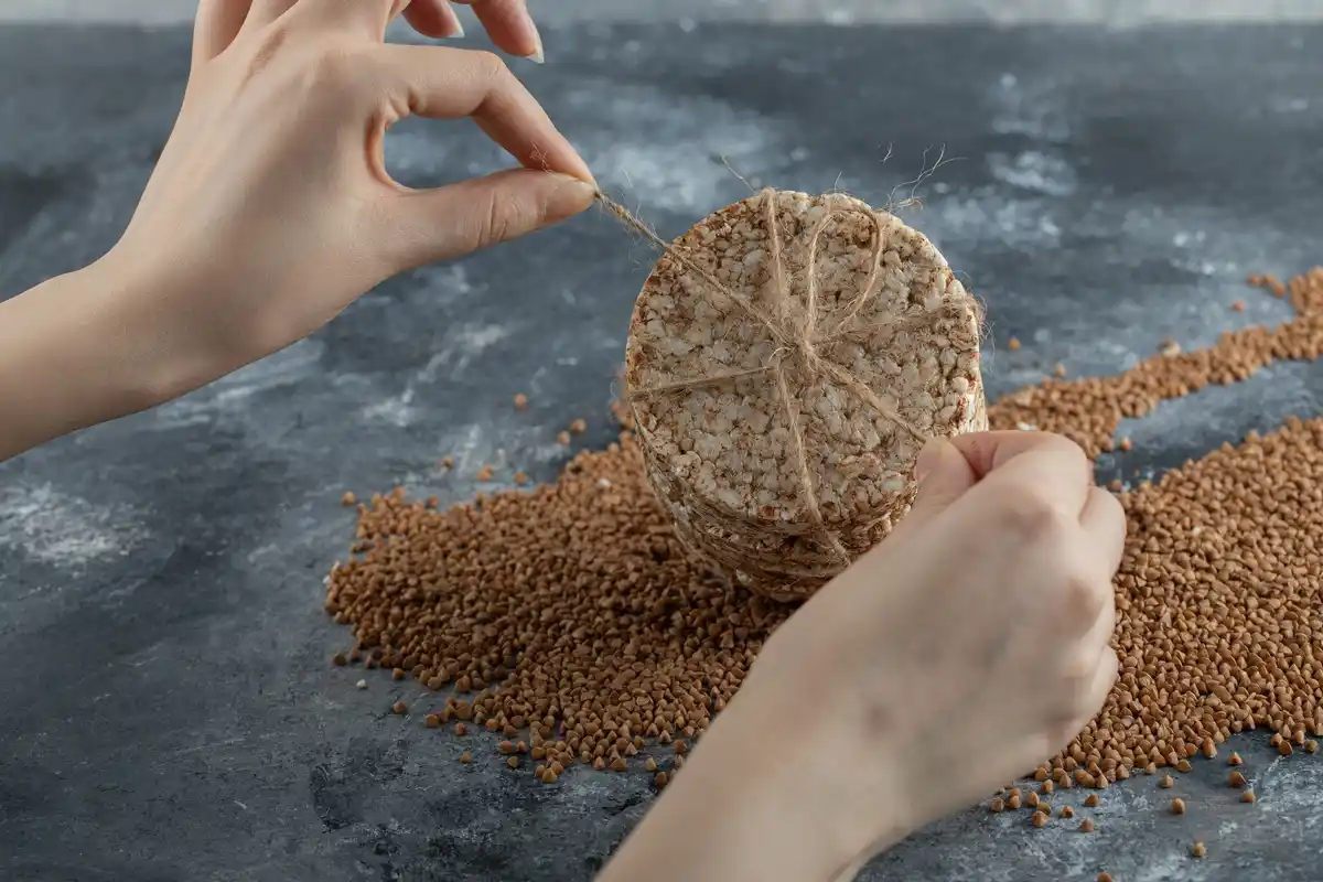 Dutch seeds germination coffee filter close up