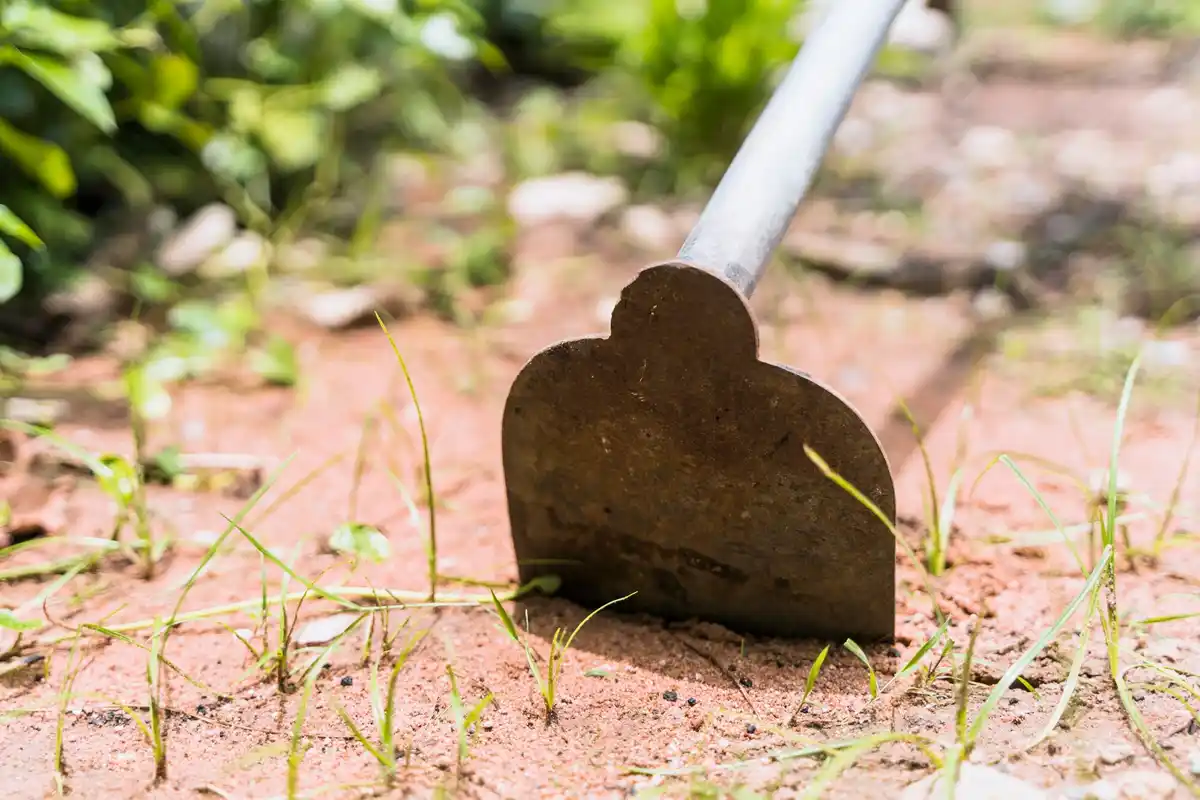 restoring old rusty garden shovel in Dutch garden