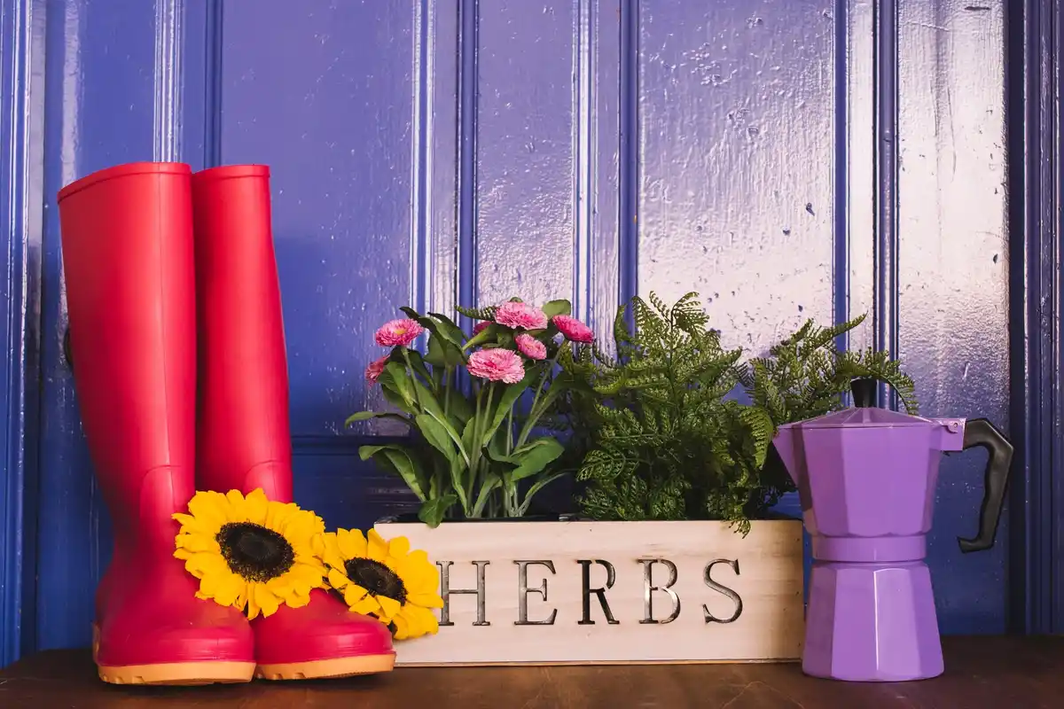 Dutch colorful restored garden tools in shed
