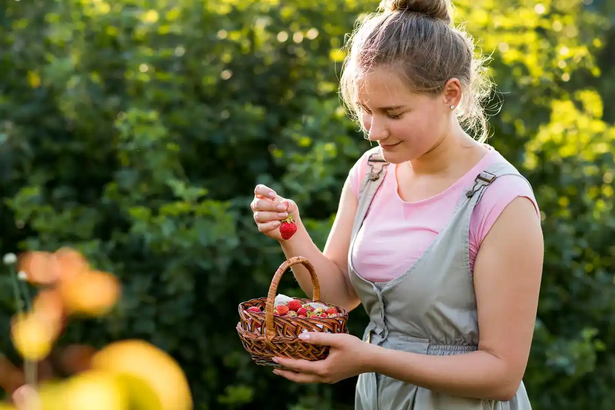 happy neighbors picking cherries together in Dutch garden