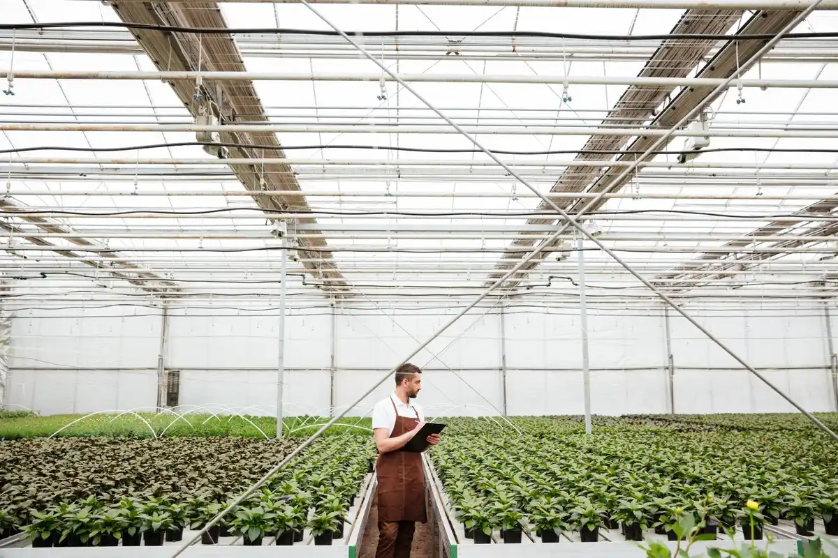 Dutch vertical farm urban agriculture