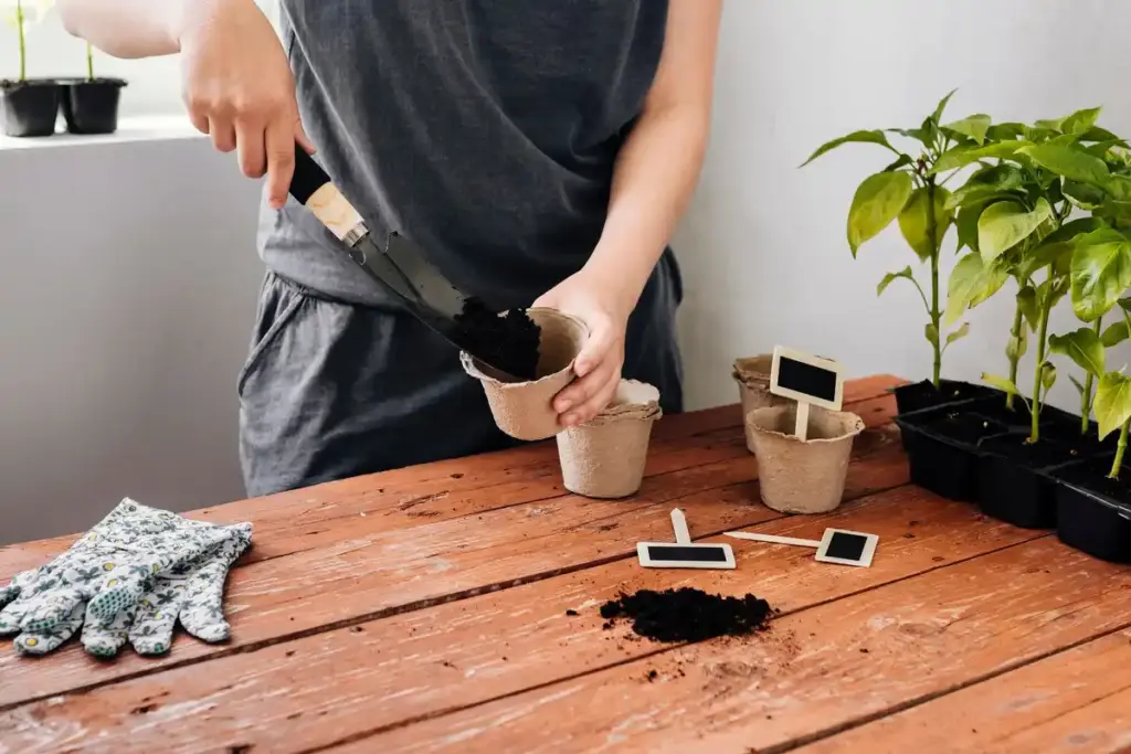 germinating seeds indoors in pots netherlands spring urban home gardening