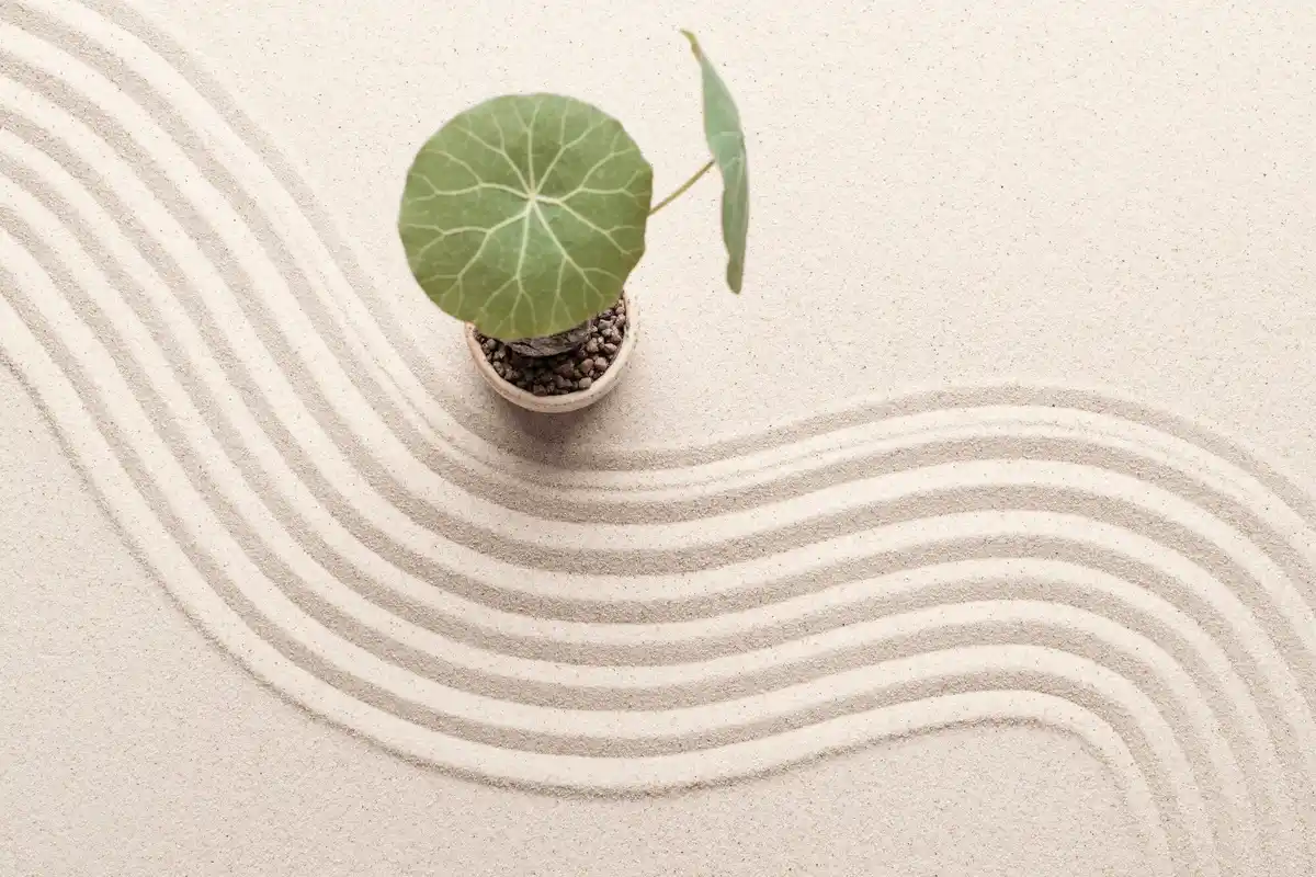 feng shui vegetable garden harmony concept