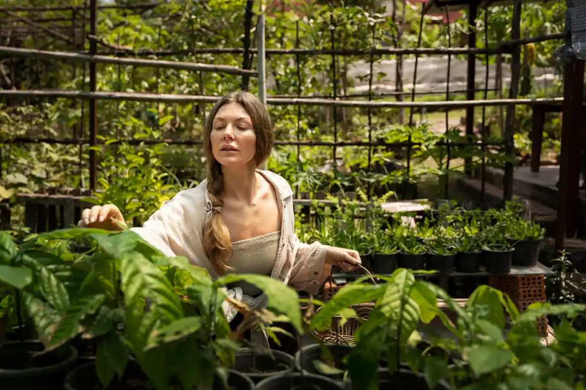 feng shui greenhouse plants harvest