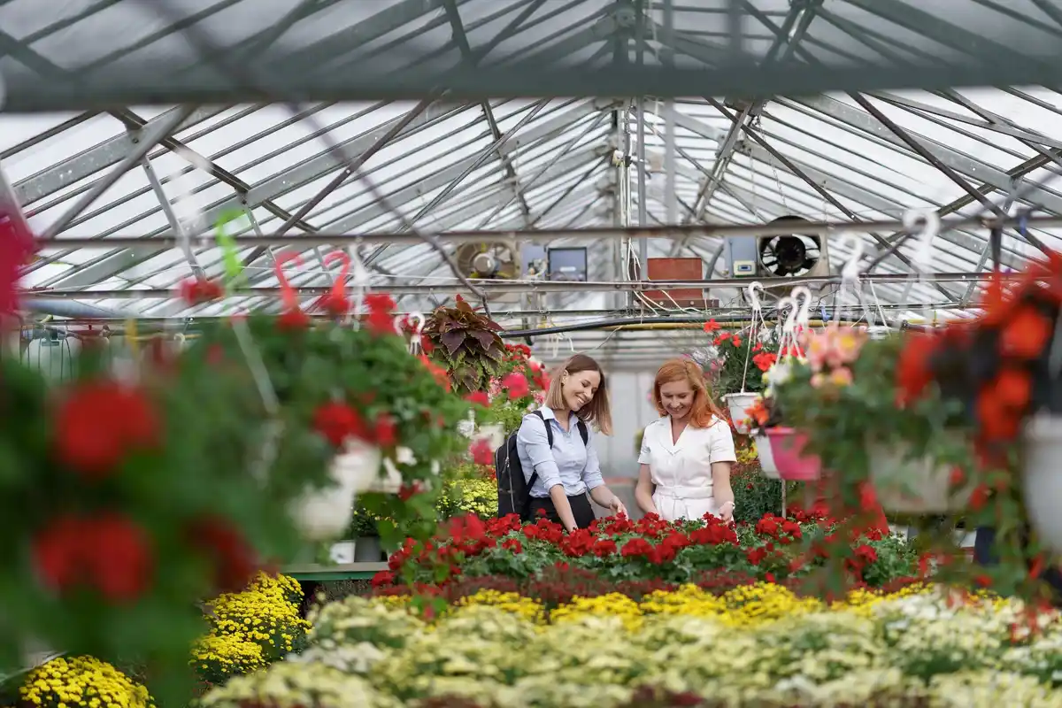 modern greenhouse sandwich panels netherlands garden