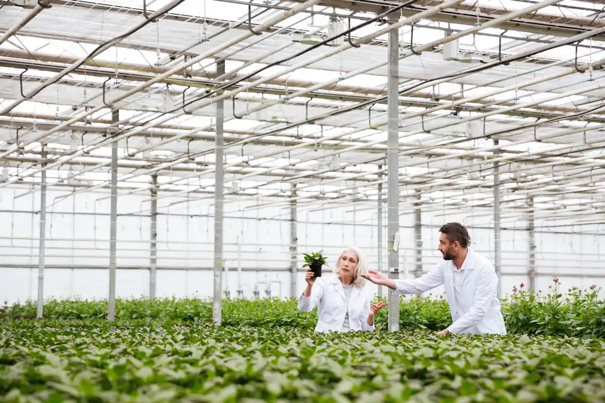 affordable greenhouse innovative material netherlands allotment