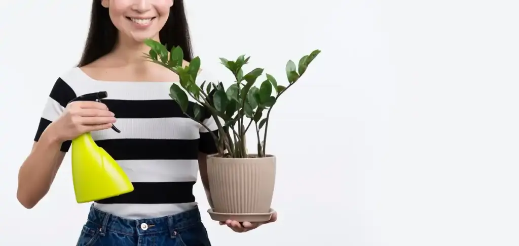 banana peel fertilizer indoor plants Dutch home