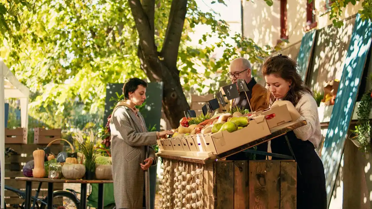 Dutch seed swap event in urban community garden