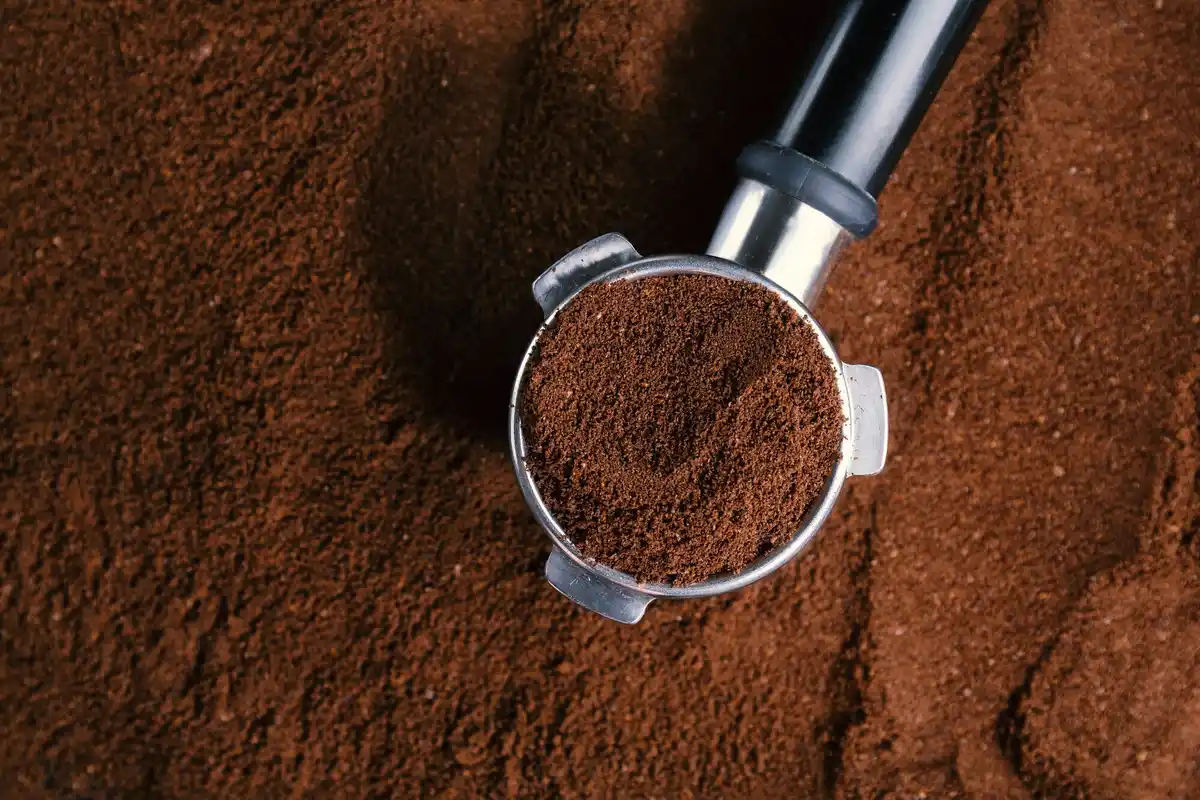 fresh coffee grounds on garden soil close up
