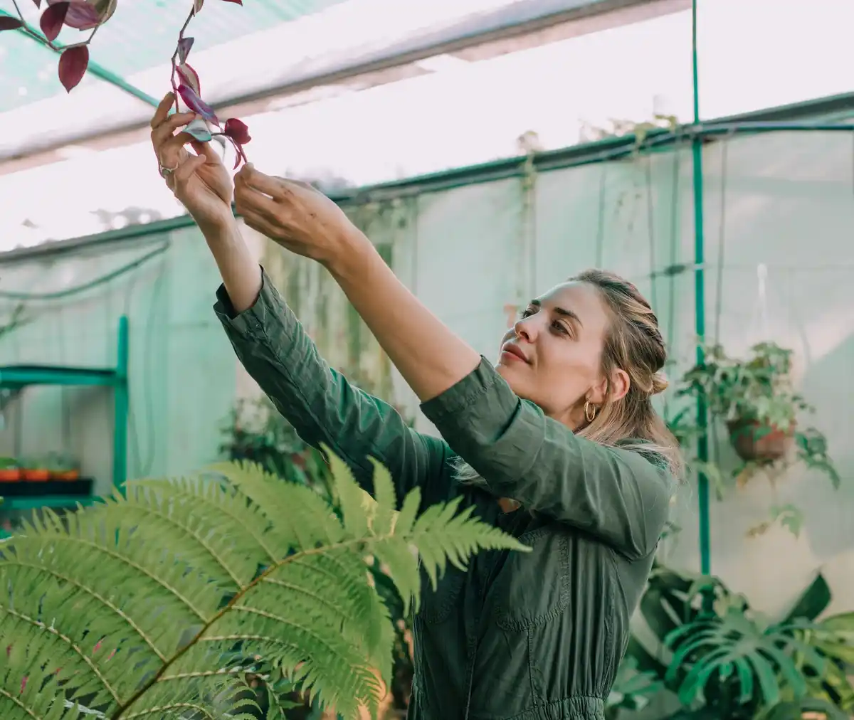 mistakes beginner greenhouse netherlands
