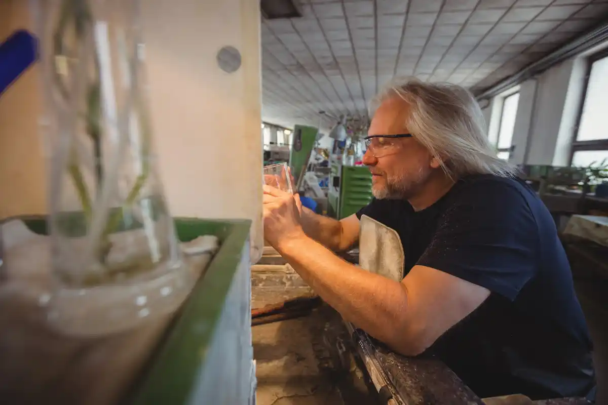 senior man building DIY greenhouse garden Netherlands