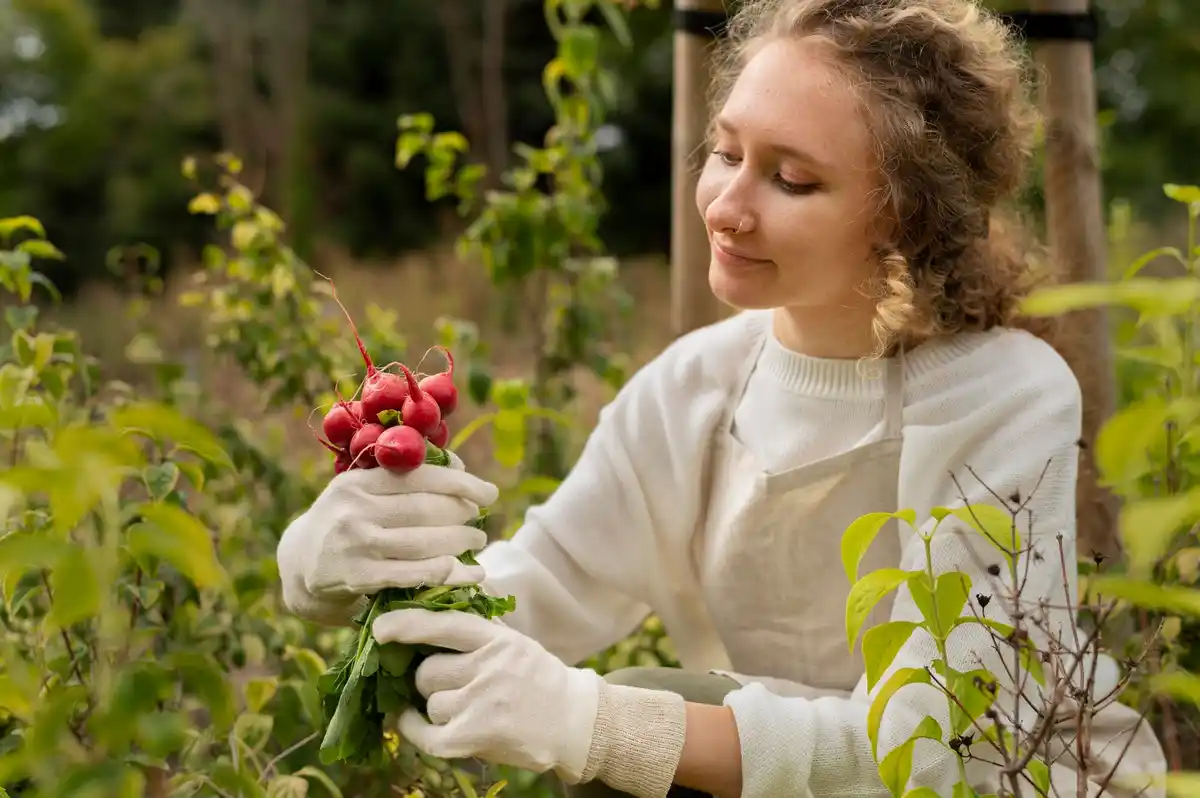 raspberry bush fertilizer danger garden