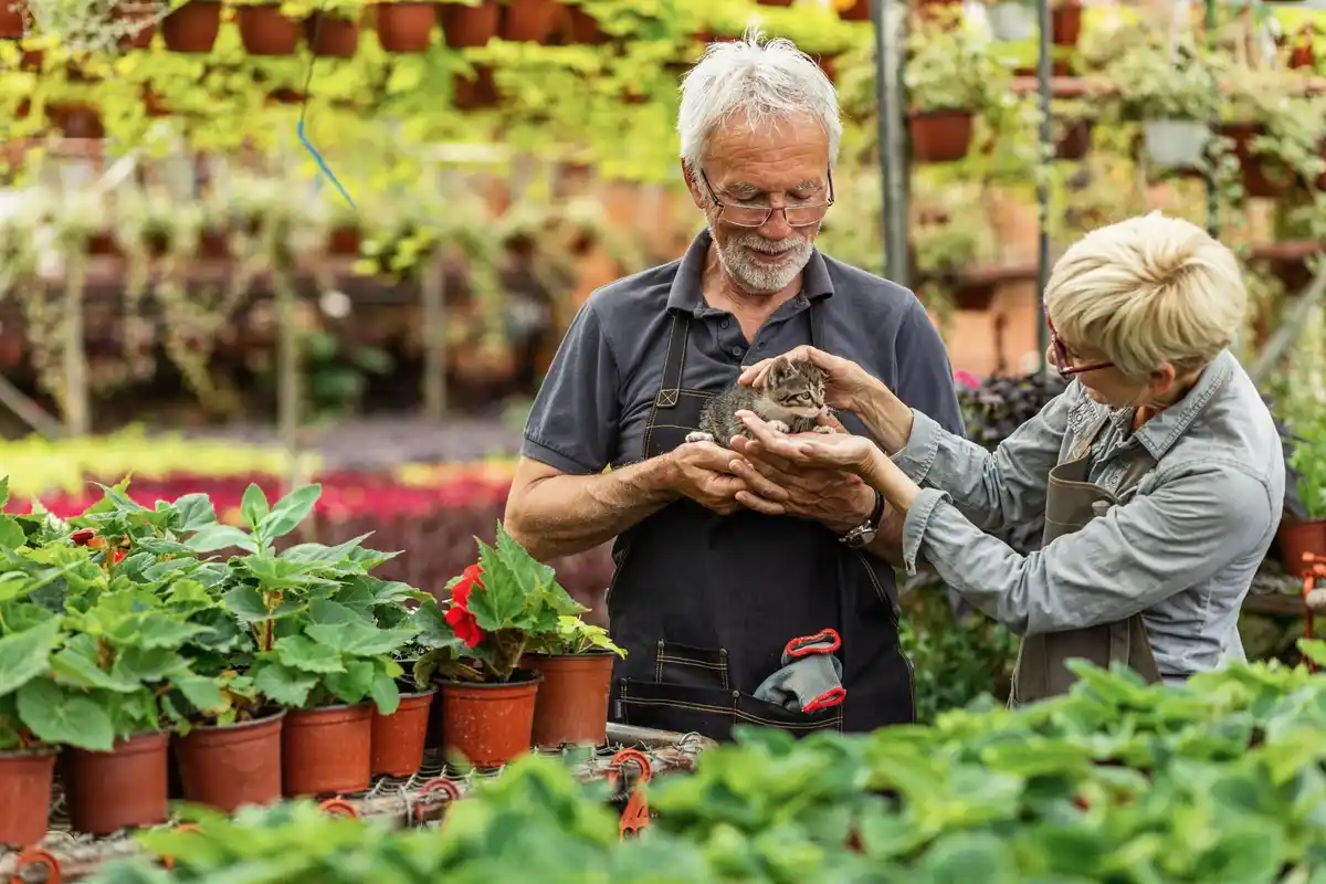 elderly Dutch vertical garden small greenhouse