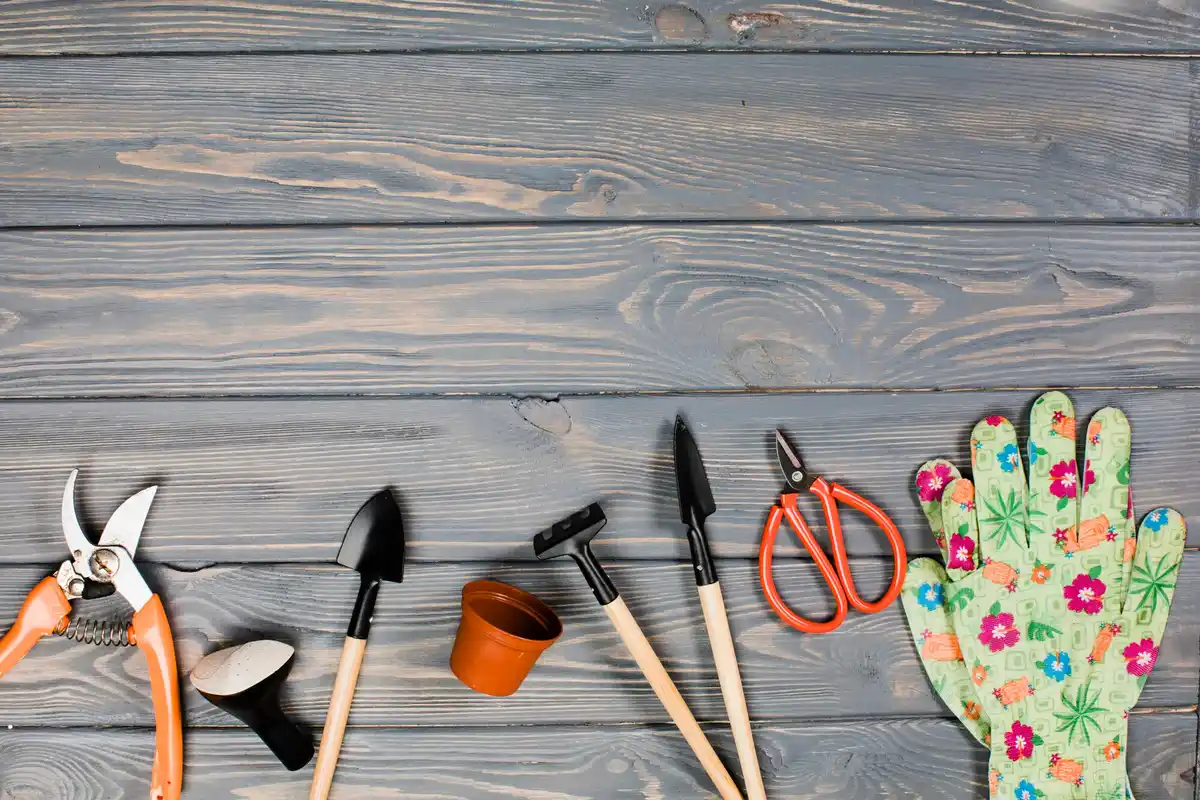 old rusty garden tools on wooden table