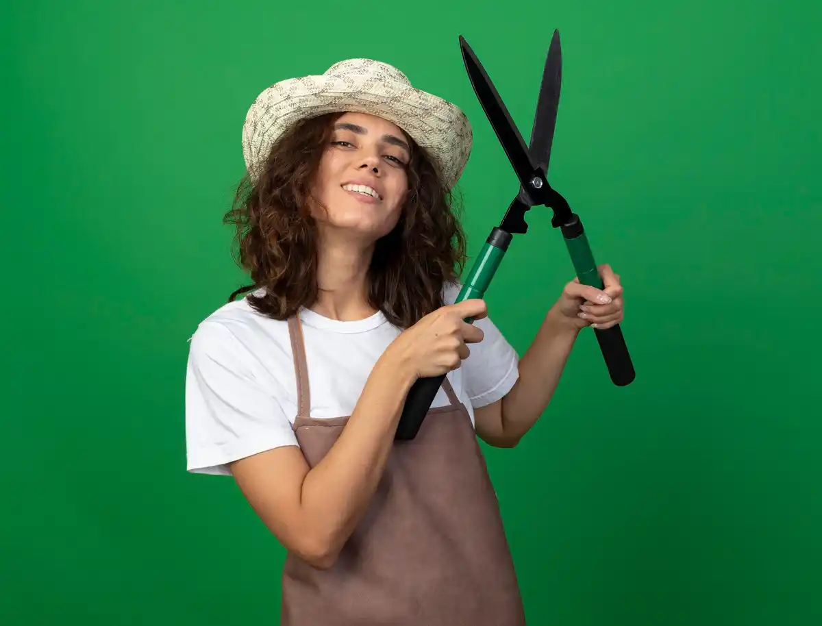 shiny cleaned garden shears on a green background