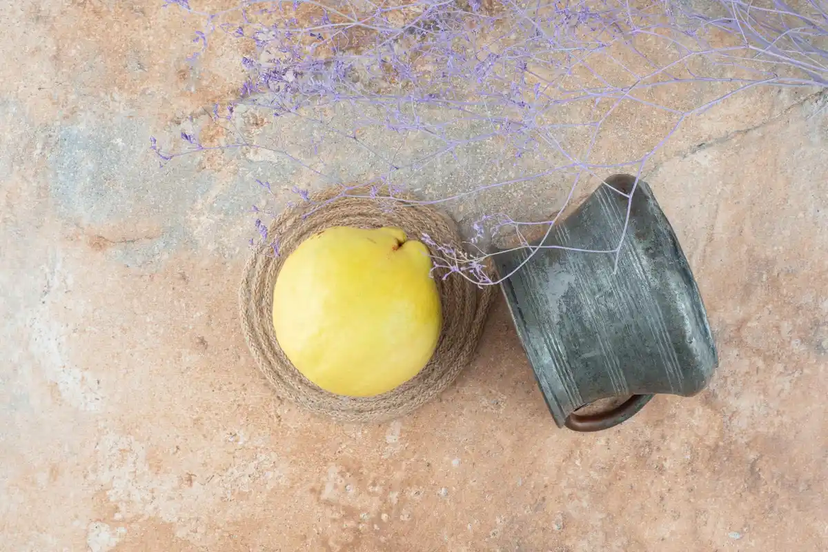 dutch toolbox with vaseline jar