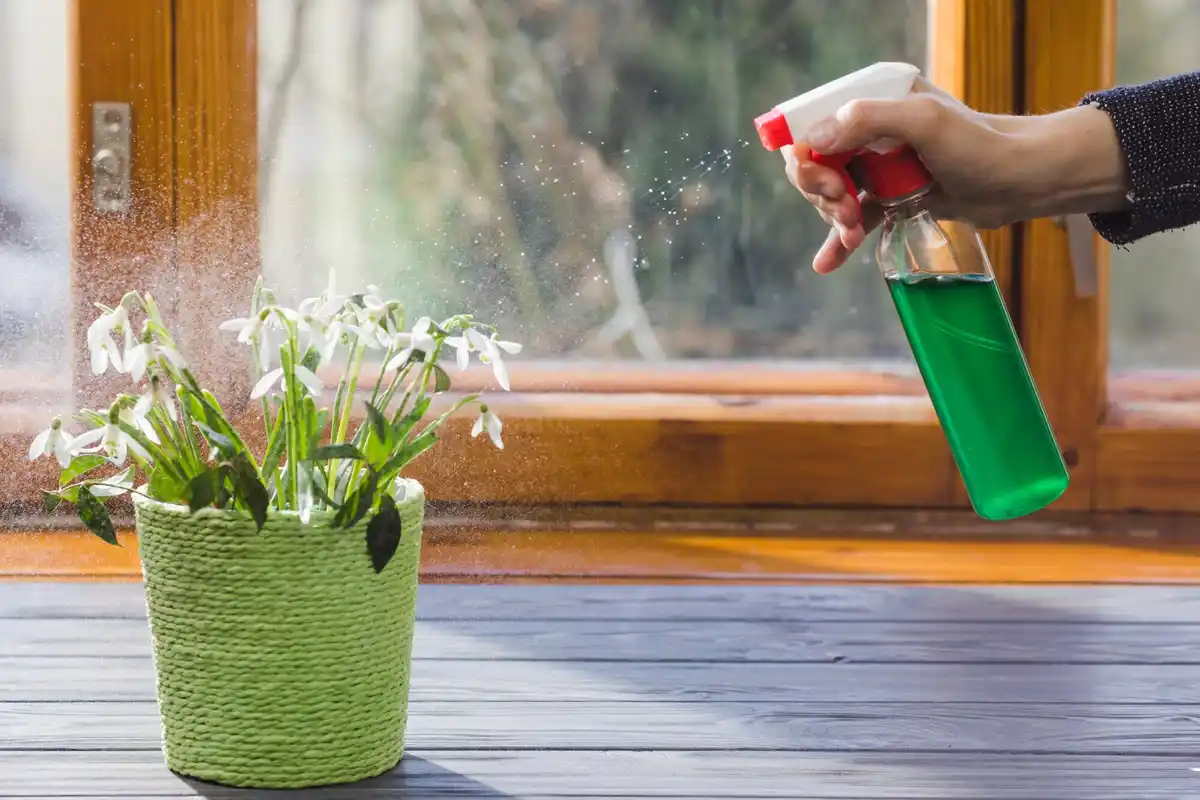 baking soda uses in Dutch garden